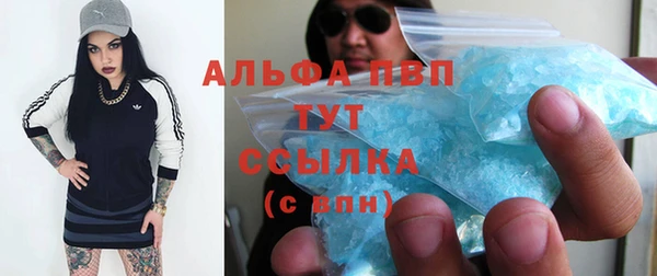 apvp Алексин